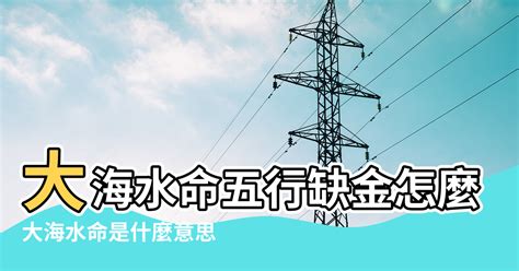 大海水命是什麼意思|【大海水命是什麼意思】大海水命，你是什麼命？揭開大海水命的。